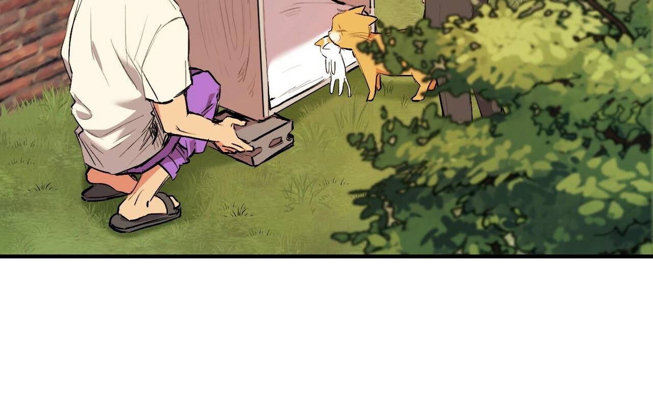 đàn thỏ của habibi chapter 32 62