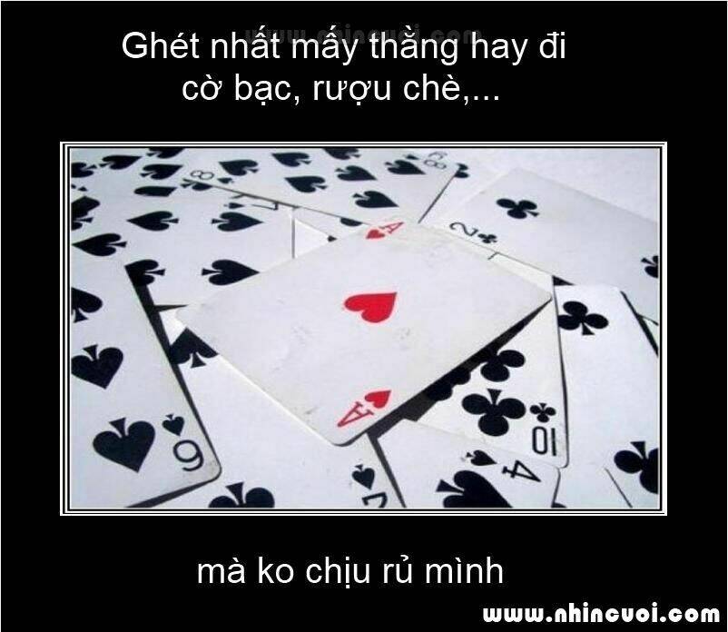 hình ảnh hài hước new chapter 17 14