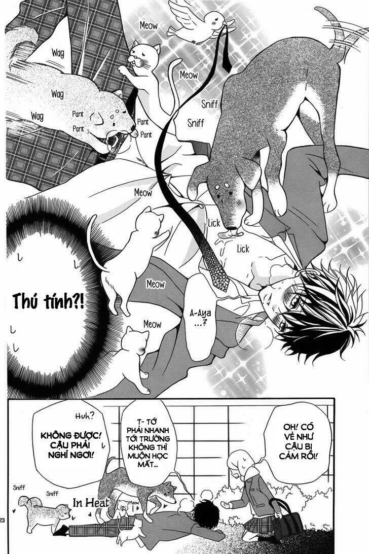 million dollar man chapter 1 25