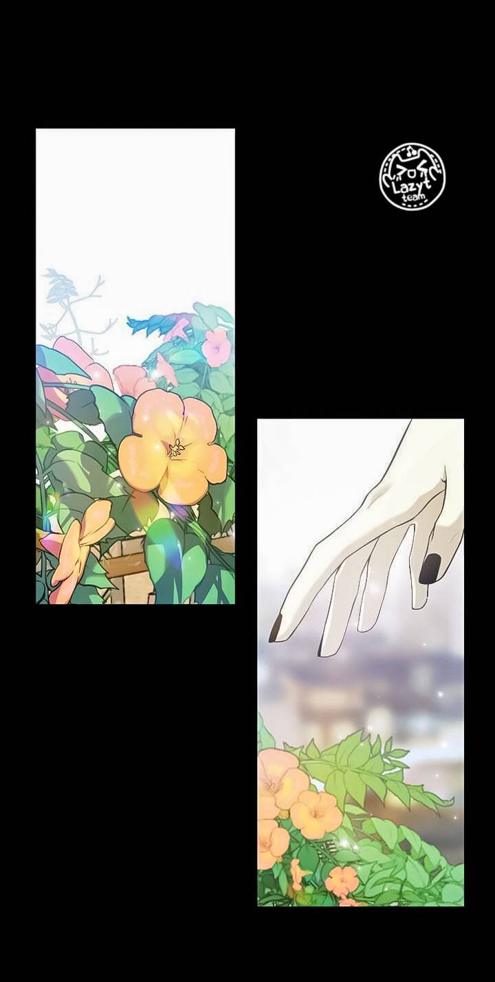 khi hoa nở chapter 3 51