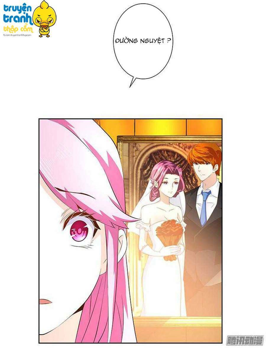 cường sủng hào môn tiểu manh thê chapter 25 9