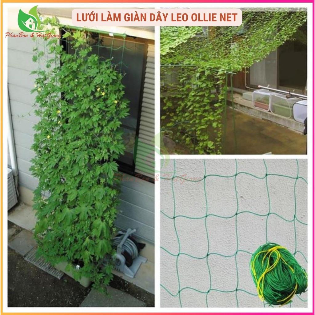 Lưới Làm Giàn Dây Leo (1,8m x 1,8m) Lưới Làm Giàn Dưa Leo, Hoa, Đậu Leo, Giàn Cây Bền Chắc-Shop Phân Bón và Hạt Giống