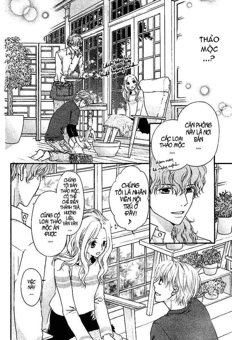 koisuru herb shohousen chapter 1 17