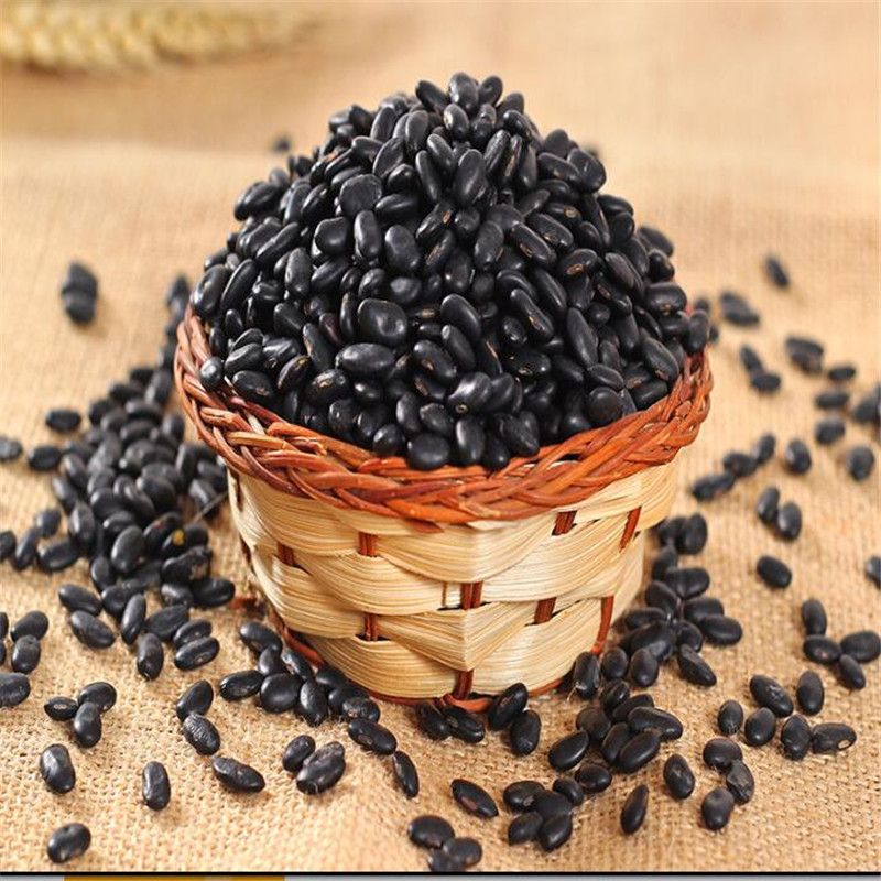 Lốc 16 hộp Sữa Đậu Đen Óc Chó Hạnh Nhân Vegemil