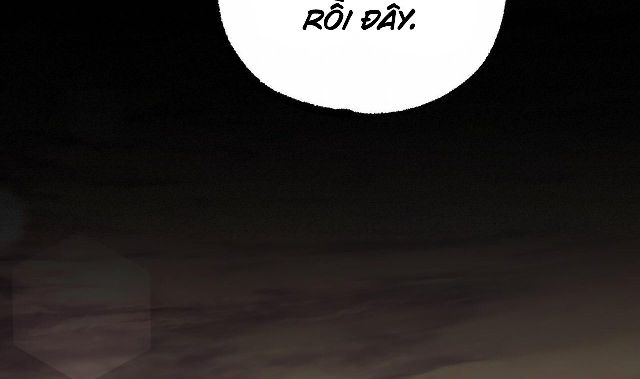 những chú thỏ của hapypy chapter 51 223