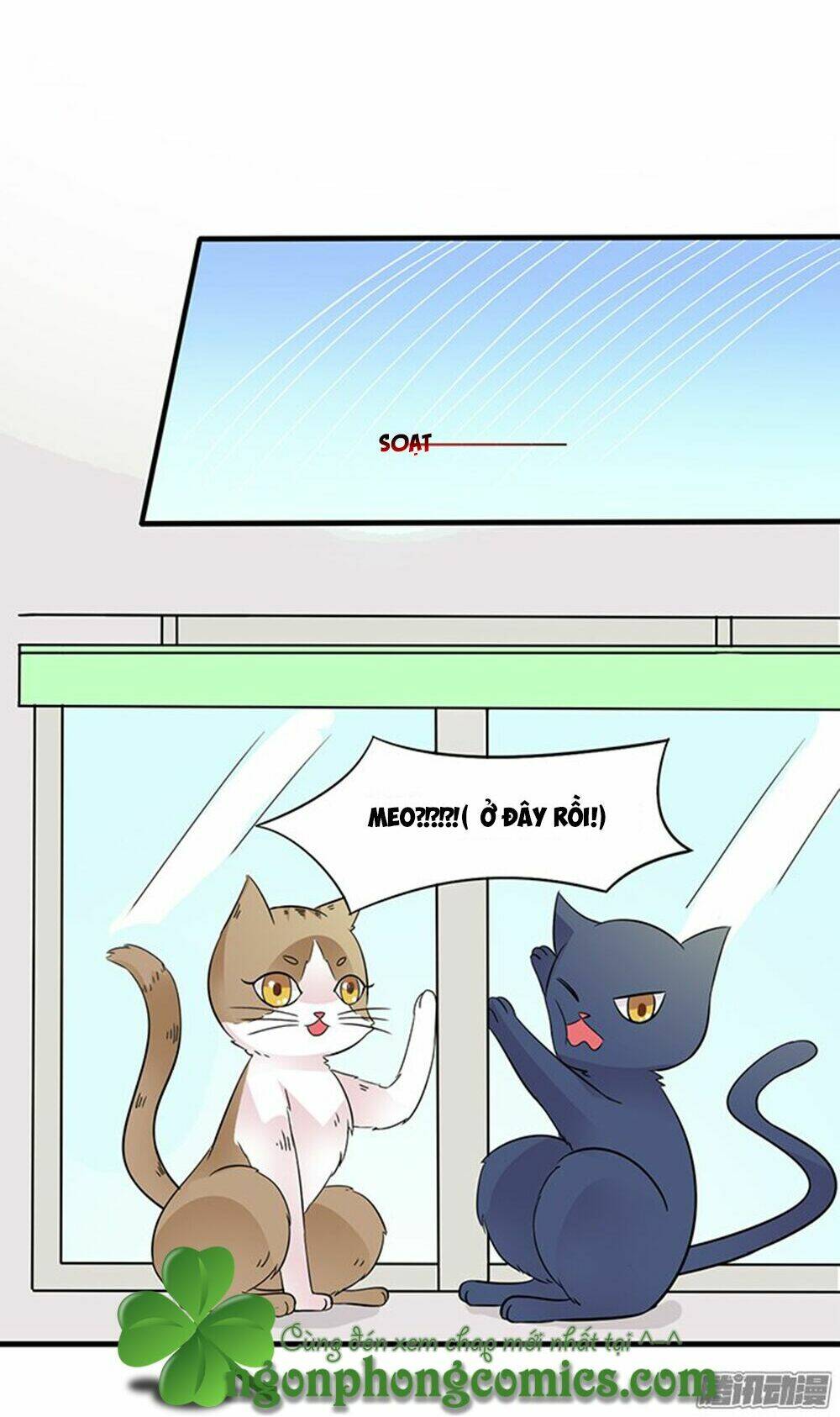 hai chú mèo totem chapter 12 21
