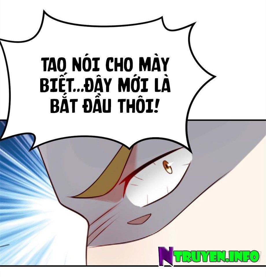 nam thần truy thê chỉ nam chapter 71.1 5