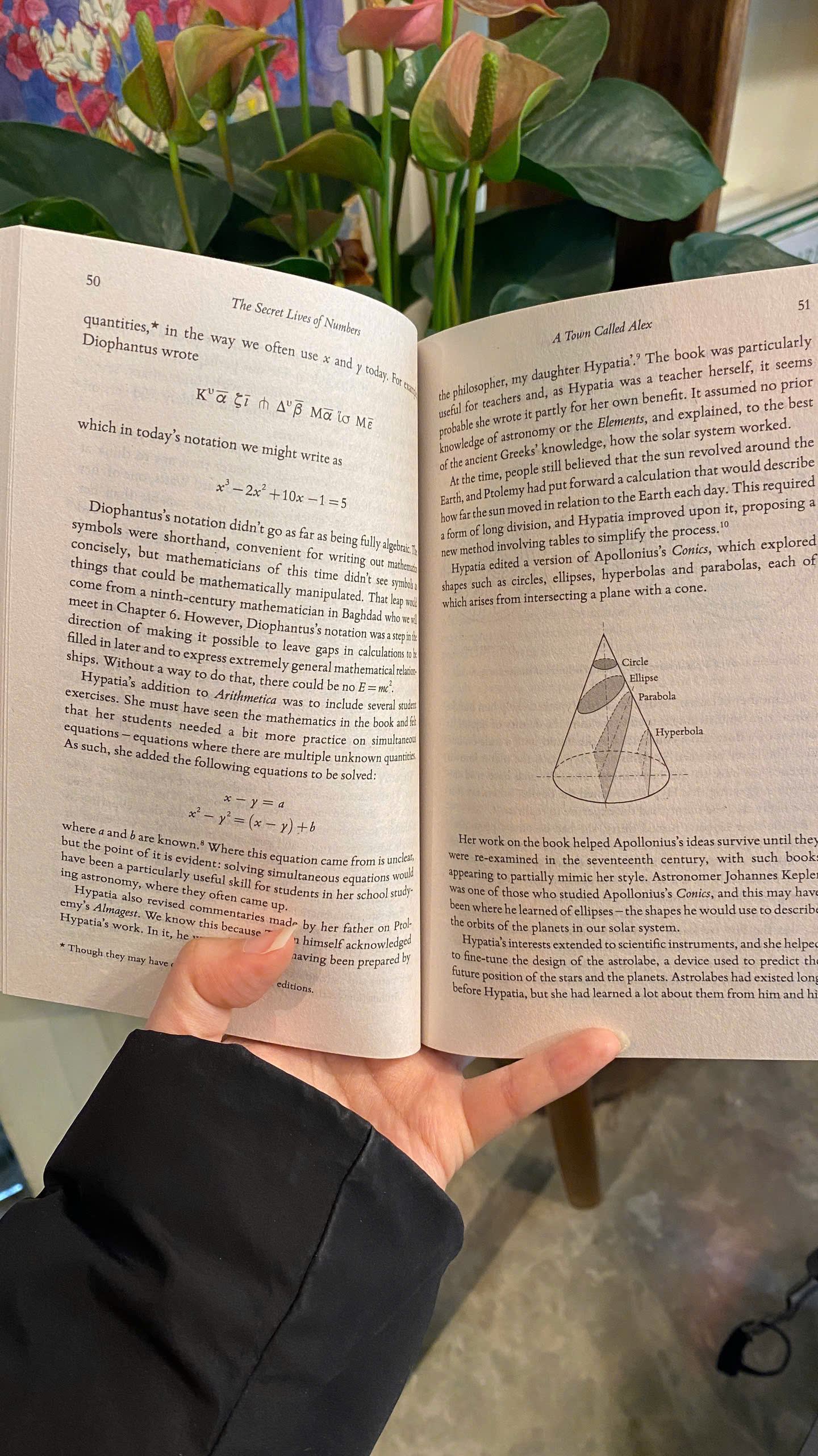 Sách - The Secret Lives of Numbers by Kate Kitagawa | History / Science / Mathematics / Ngoại văn