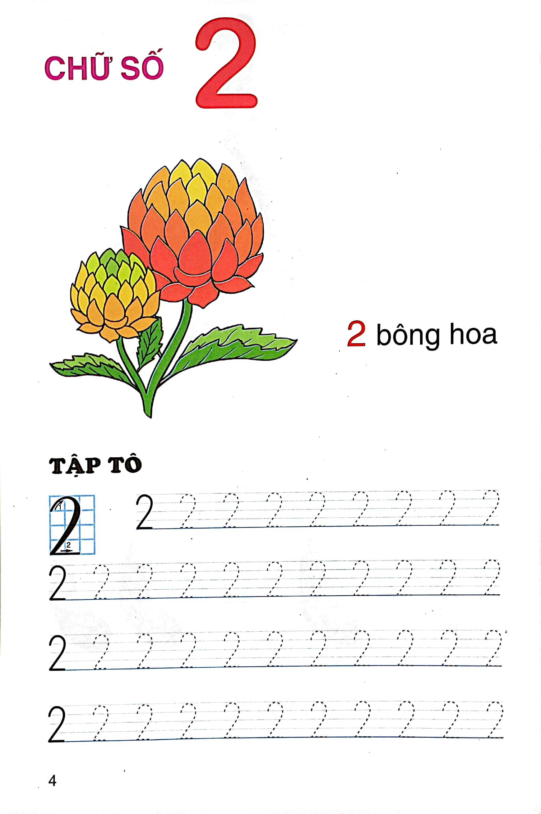 Bé Học Toán