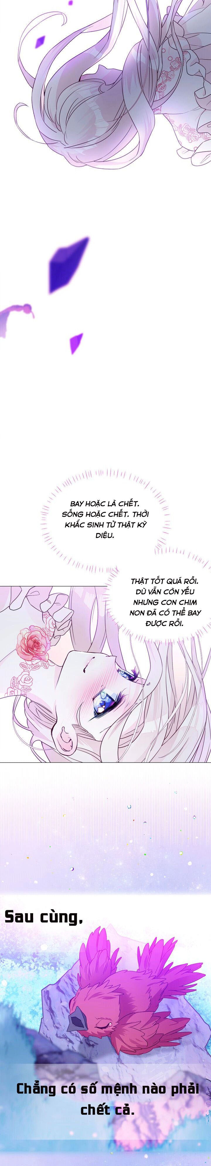 hãy chọn papa thật sự trong số các bạo chúa! chapter 12 32