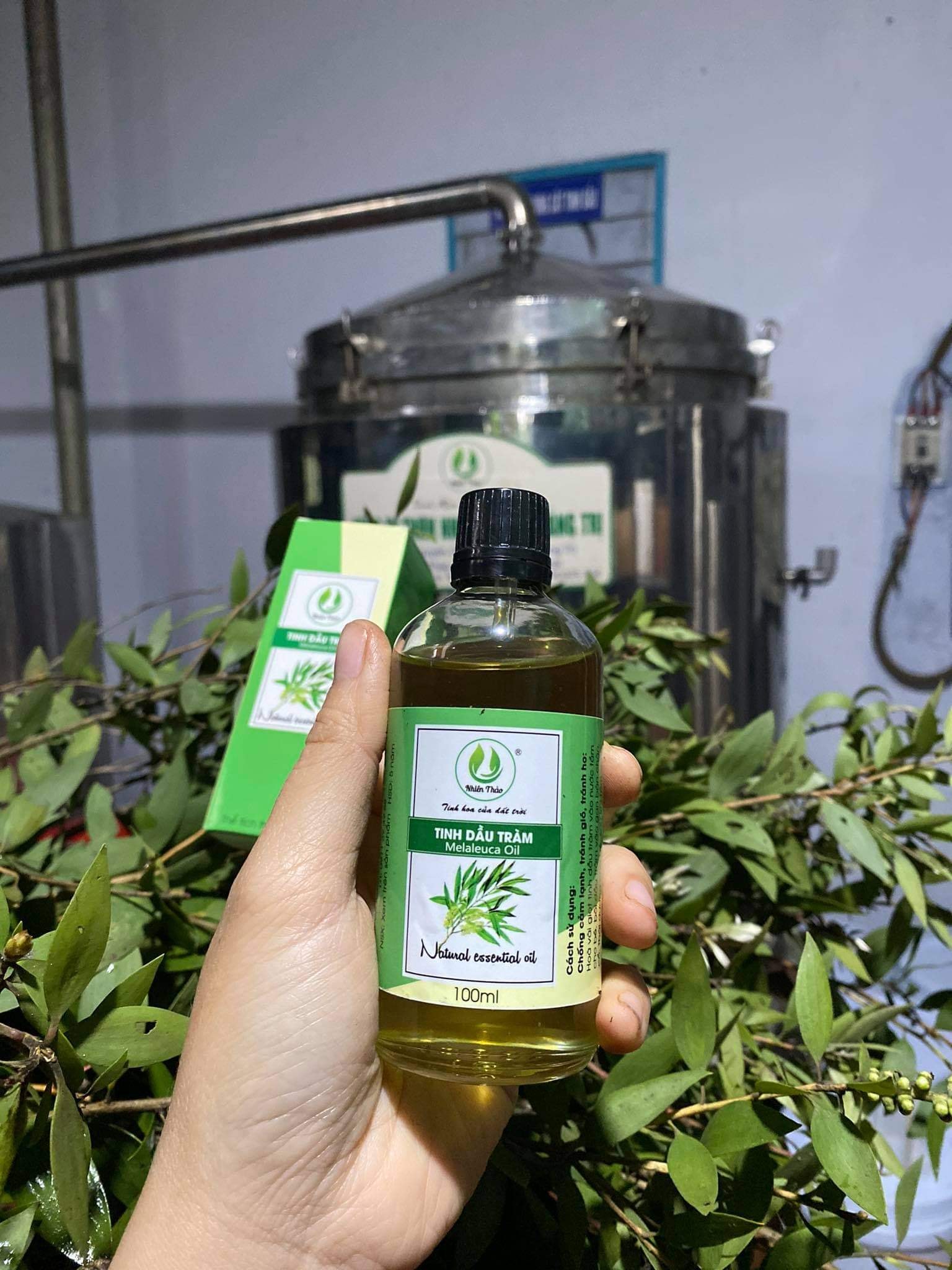 Tinh dầu tràm 100ml