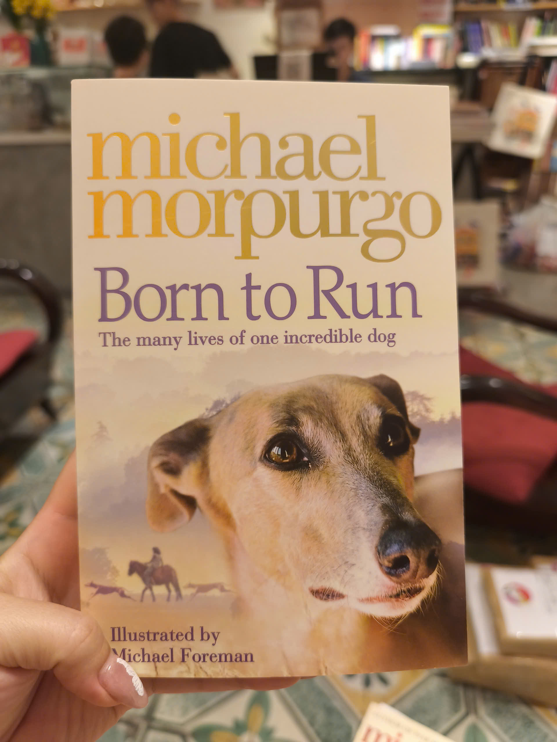 Born to Run by Michael Morpurgo - Children Story book in English - Sách Ngoại Văn Nhập Khẩu