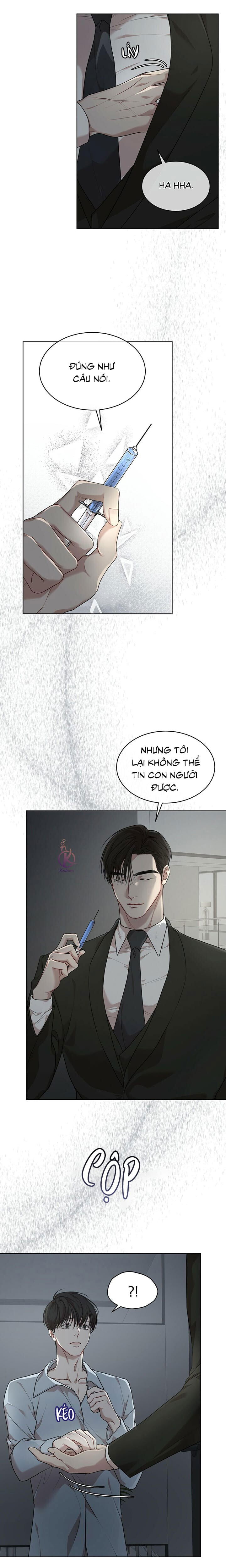 hình thái khởi sinh chapter 47 20