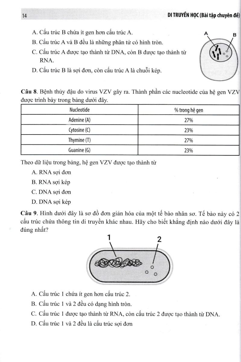 Di Truyền Học - Bài Tập Chuyên Đề_GDDT