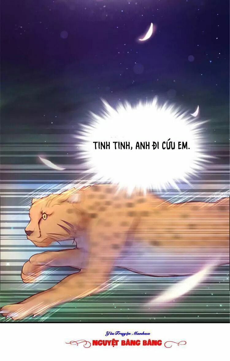 [16+] thảnh thơi thú thế chủng chủng điền, sinh sinh tể chapter 25 71