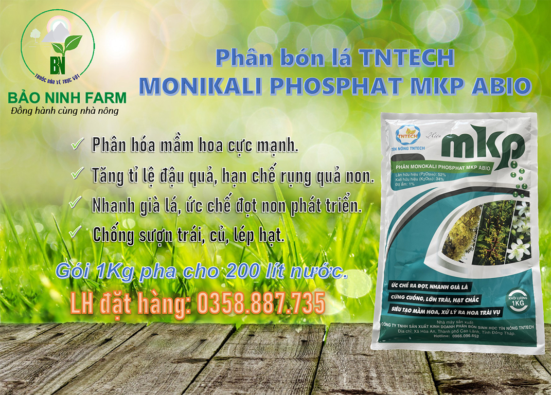 Phân bón MKP - Ức chế ra đọt, nhanh già lá, cứng cuốn, lớn trái, siêu tạo mầm hoa