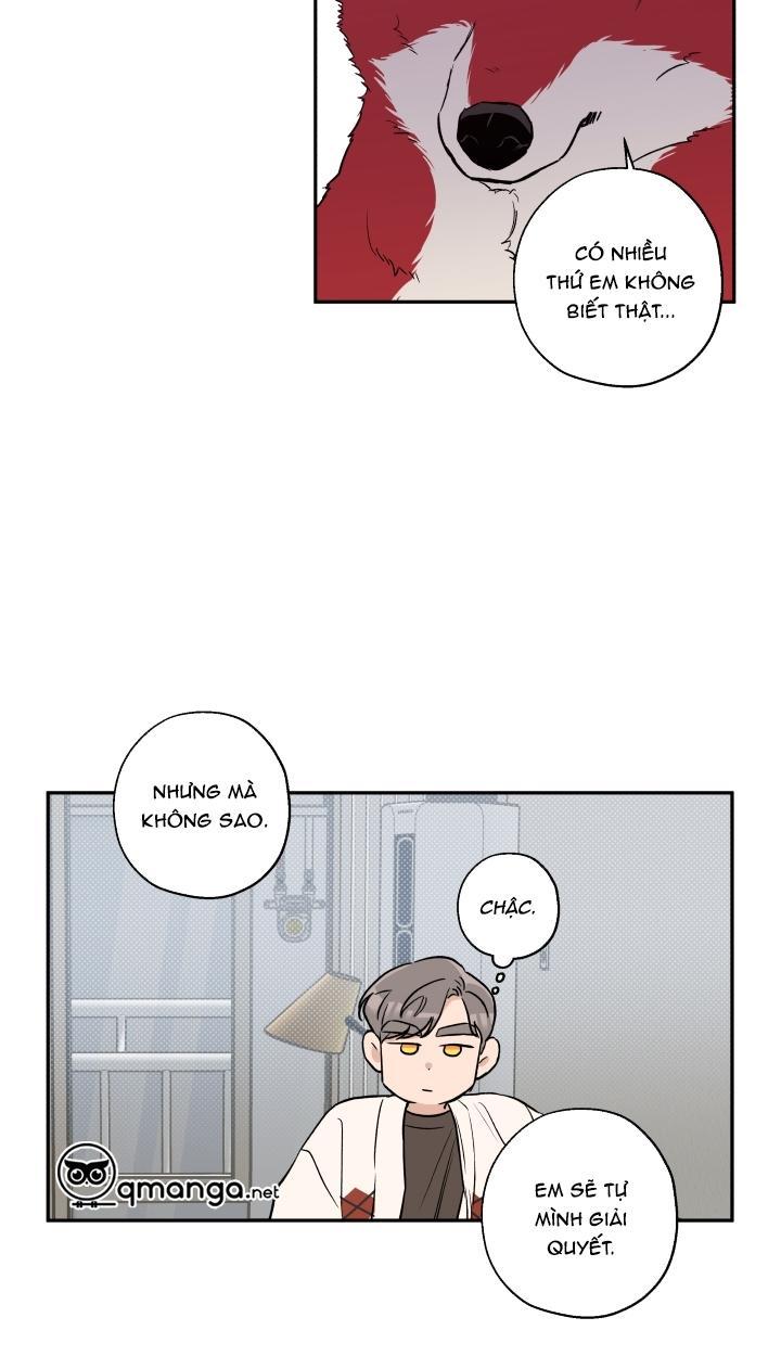 gâu gâu! chapter 21 17