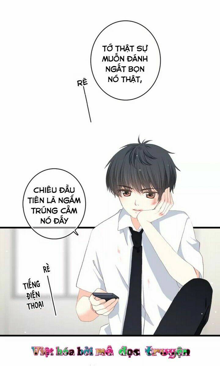 con tim rung động 3 chapter 44 5