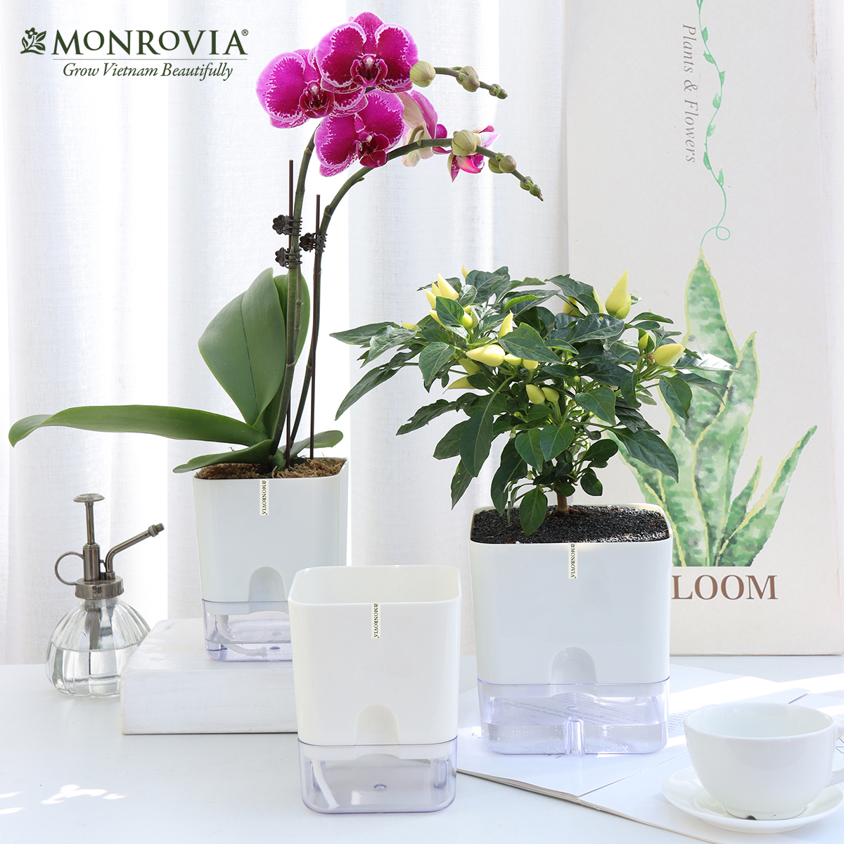 Chậu trồng cây tự tưới để bàn Monrovia, thiết kế thông minh, decor văn phòng, trong nhà, sang trọng, Tiêu chuẩn Châu Âu