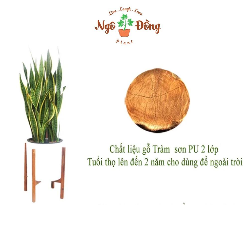 Đôn Kê Nâng Chậu Cây Cảnh Chậu Hoa 1 Tầng C42cm Bằng Gỗ Tràm Tự Nhiên Trang Trí Trong Nhà Ngoài Sân Vườn