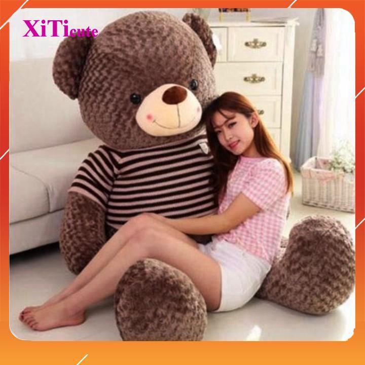 Thú nhồi bông gấu Teddy SIÊU TO khổng lồ dùng để làm quà tặng người thương, gối ôm hoặc vật trang trí trong nhà