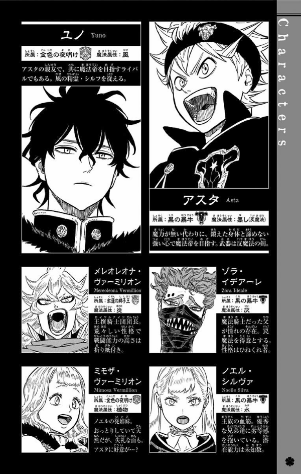 ブラッククローバー 17 - Black Clover Vol. 17