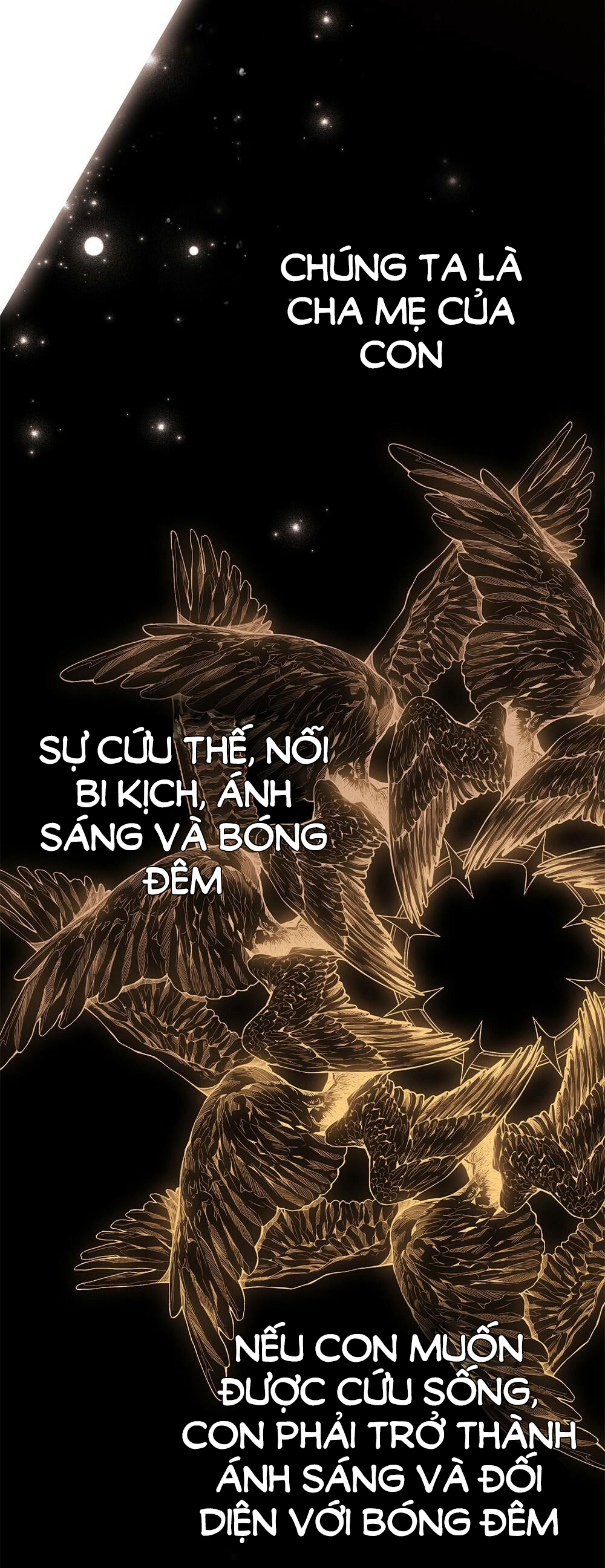 ánh bình minh hoàng kim chapter 2 69