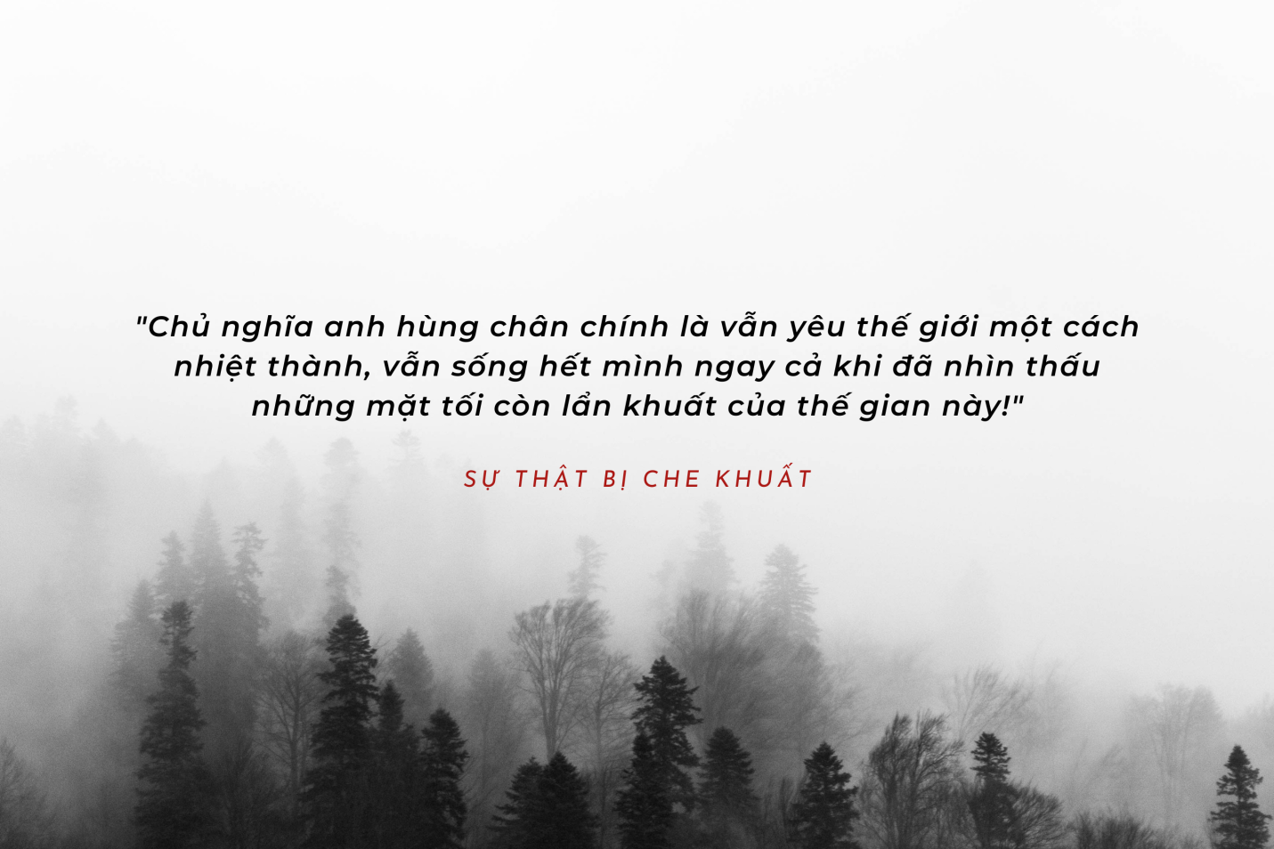 Sự Thật Bị Che Khuất