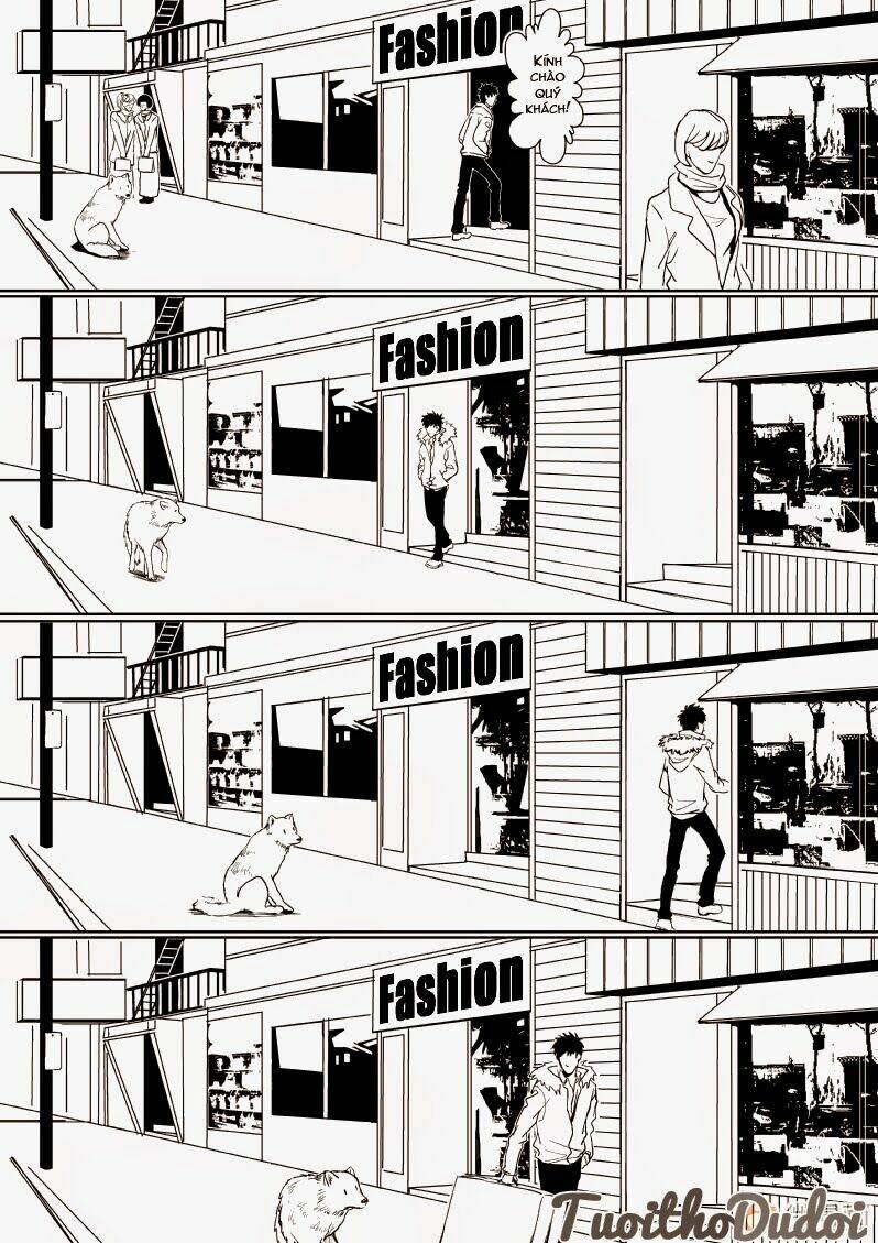 sự mê hoặc của sói chapter 11 8