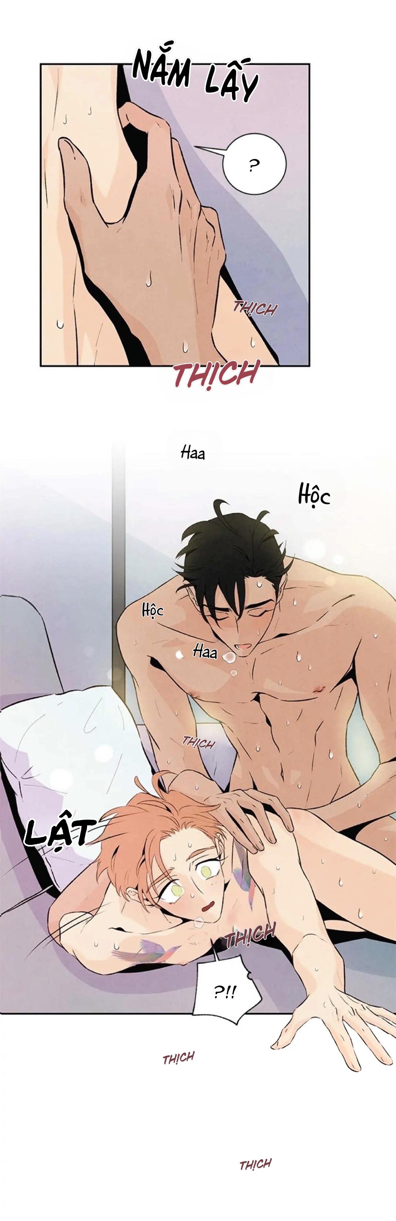 bona sort chapter 20 22