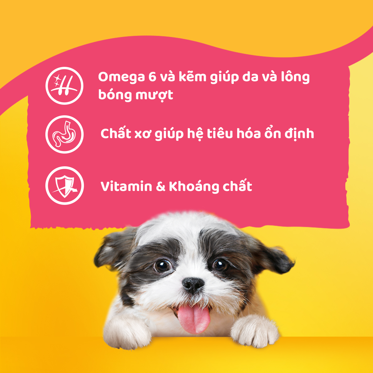 Thức Ăn Cho Chó Con Dạng Sốt PEDIGREE NutriDefence - Vị Bò, Trứng và Rau (80g, 12 Gói)