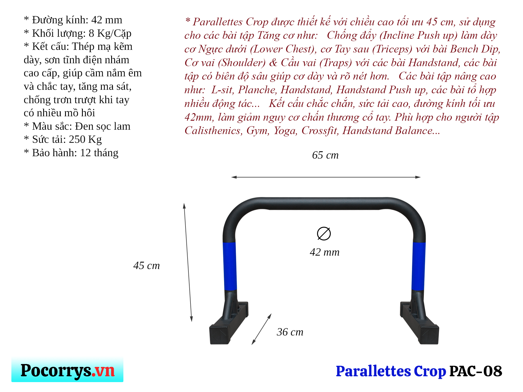 Combo Xà đơn đứng &amp; 3 bộ Xà kép Parallettes 90-45-18cm