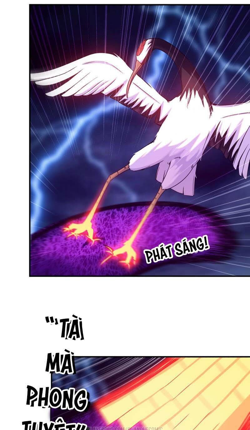 khởi đầu bằng một con côn chapter 77 7