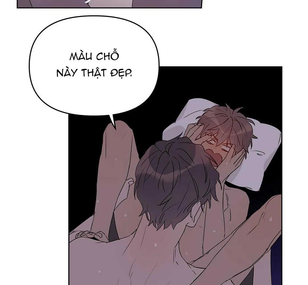 guide cấp b chapter 21 51