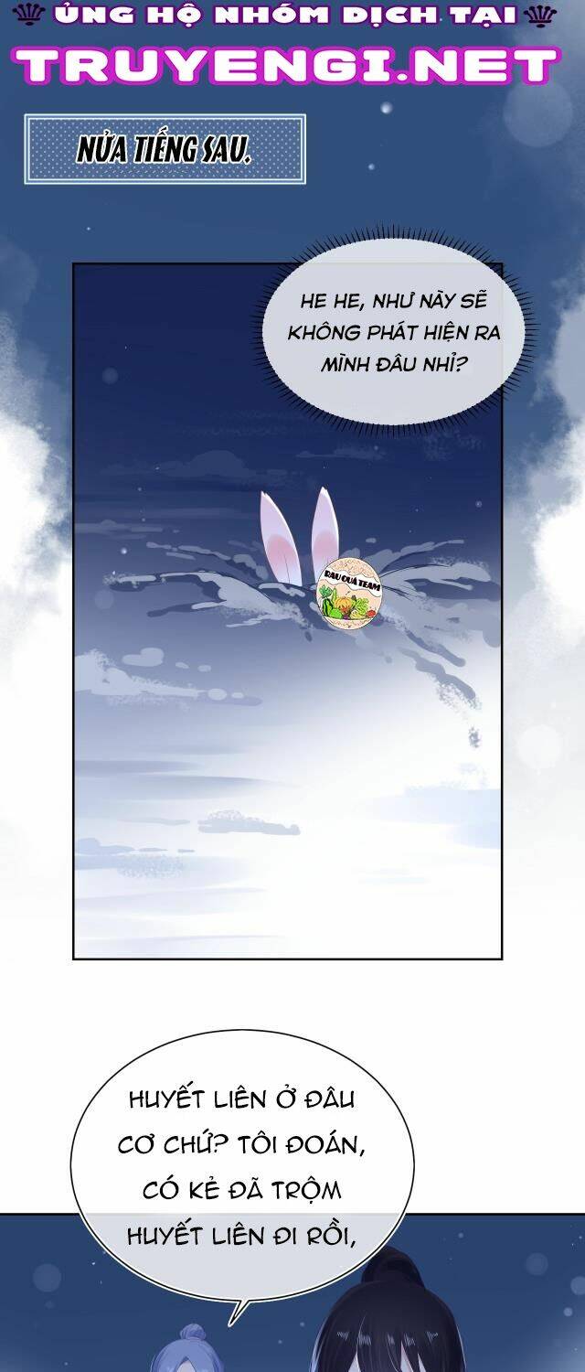 hắc hóa nam chính trực tuyến nuôi thỏ chapter 5 13