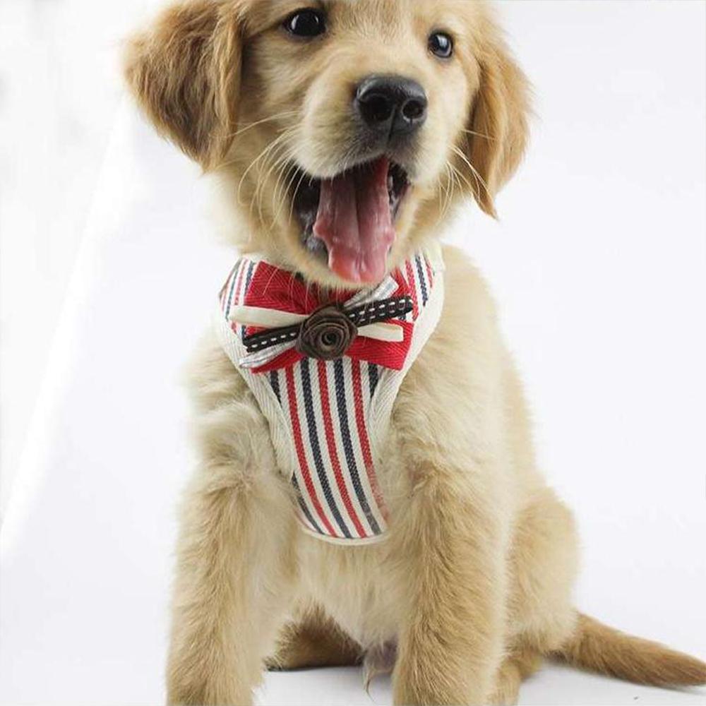 Fabric Pet Dog Walking Vest Harness Puppy Leash Training Collar