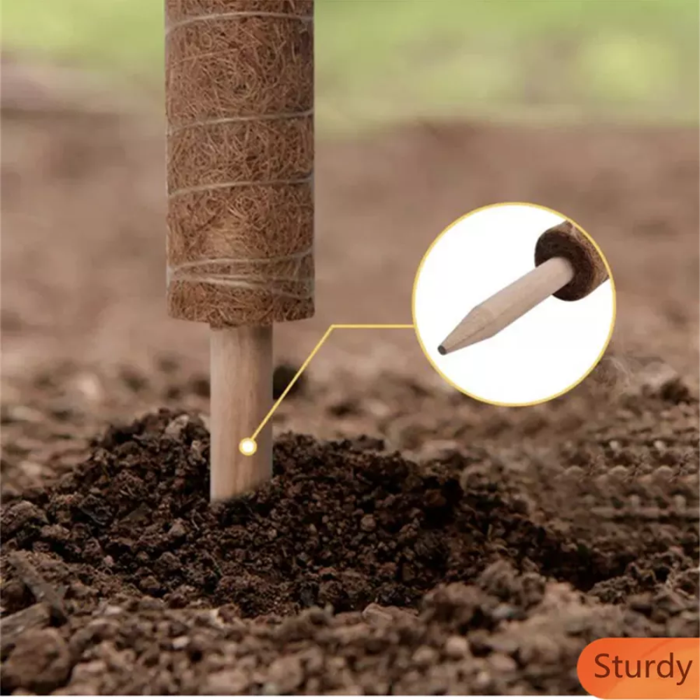 Trụ giá thể xơ dừa.Thích hợp cho các loại cây cảnh, cây dây leo.1 trụ dài 43cm.Giúp cây phát triển tốt
