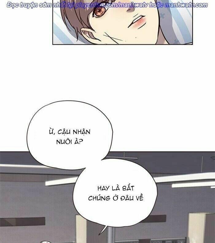 biến thân thành mèo chapter 46 54