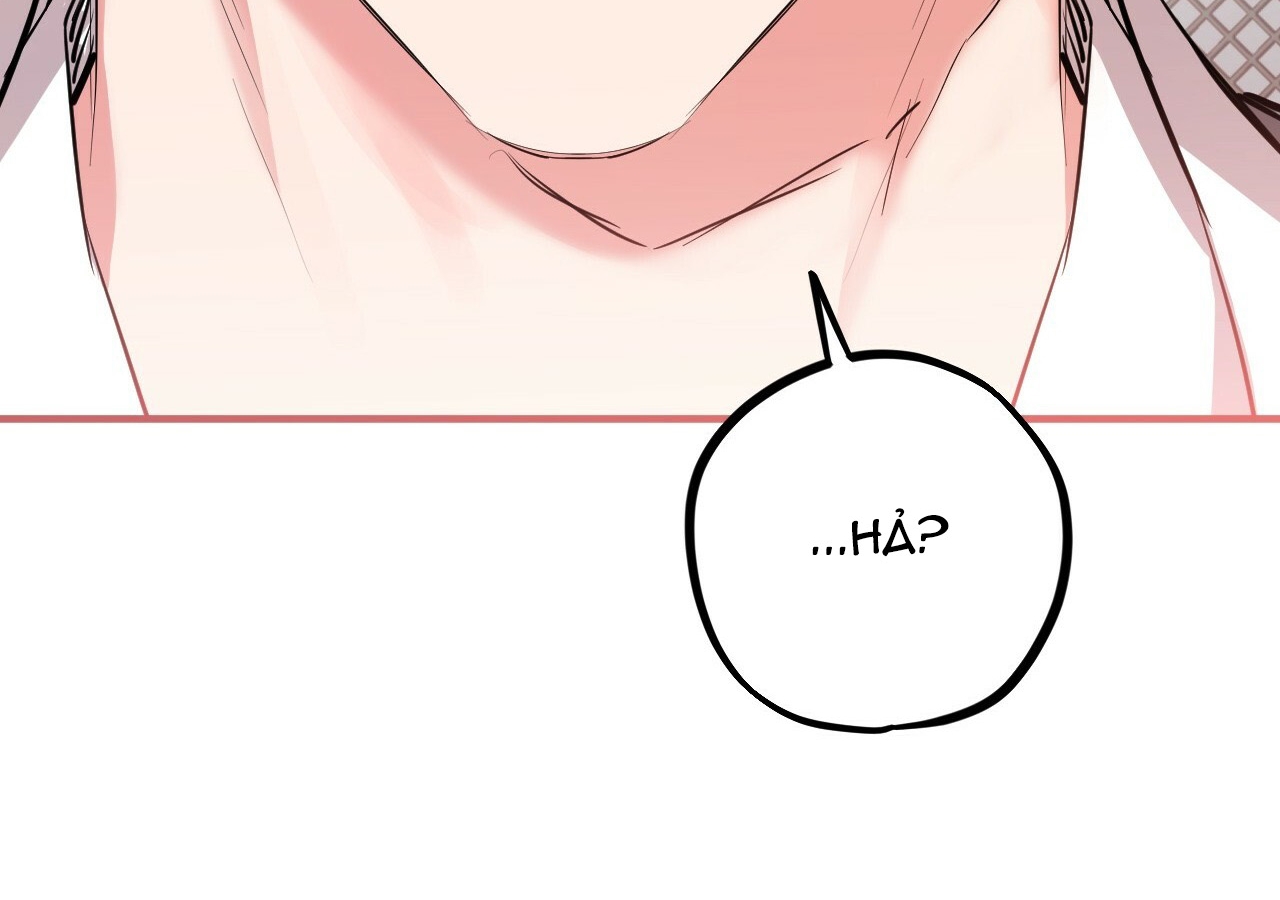 đàn thỏ của habibi chapter 21 240