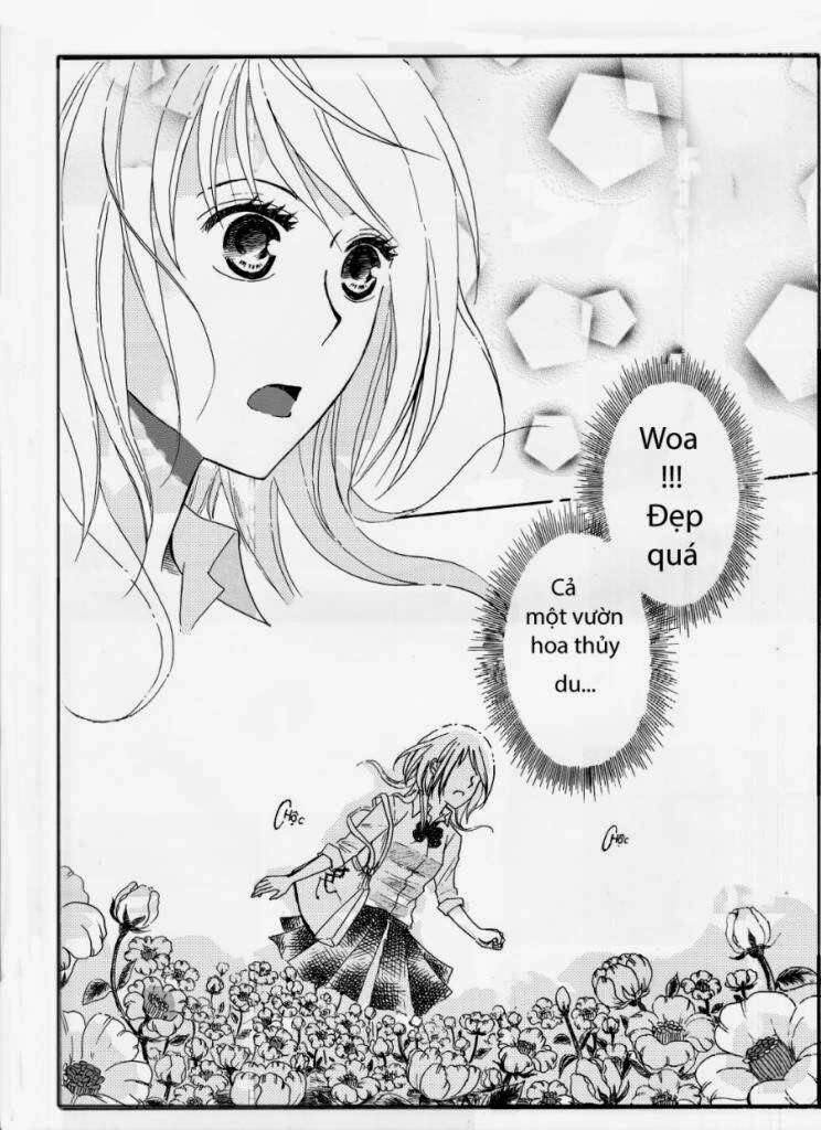 đuổi theo một bóng hình chapter 1 8