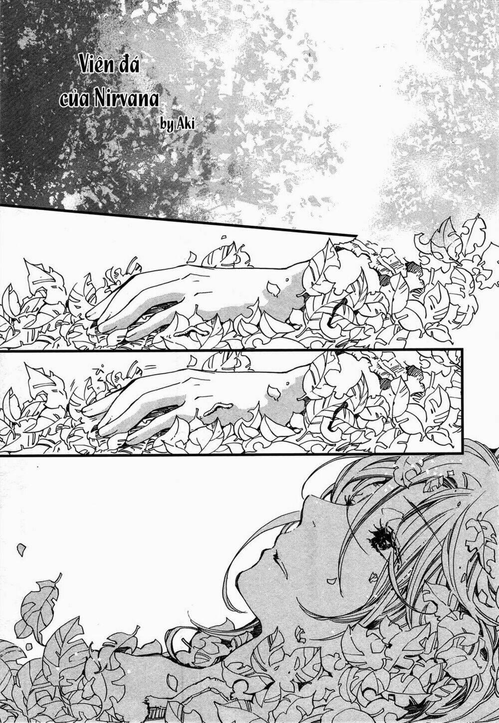 viên đá của nirvana chapter 1 2