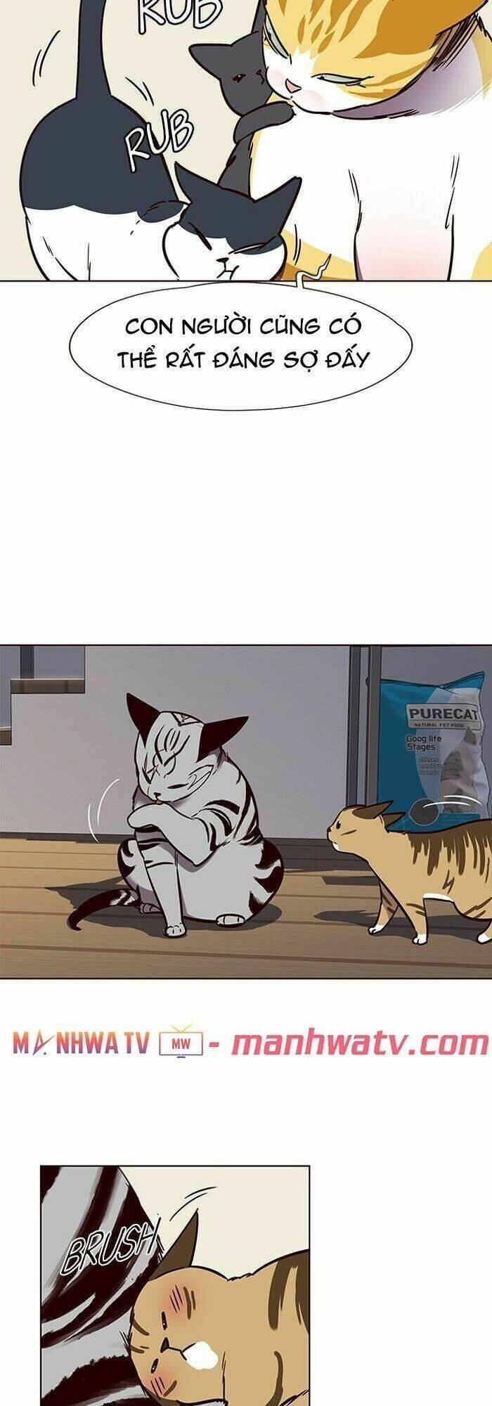biến thân thành mèo chapter 58 27
