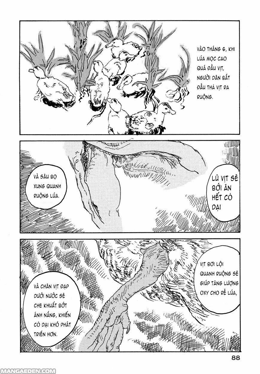 little forest chapter 26 2