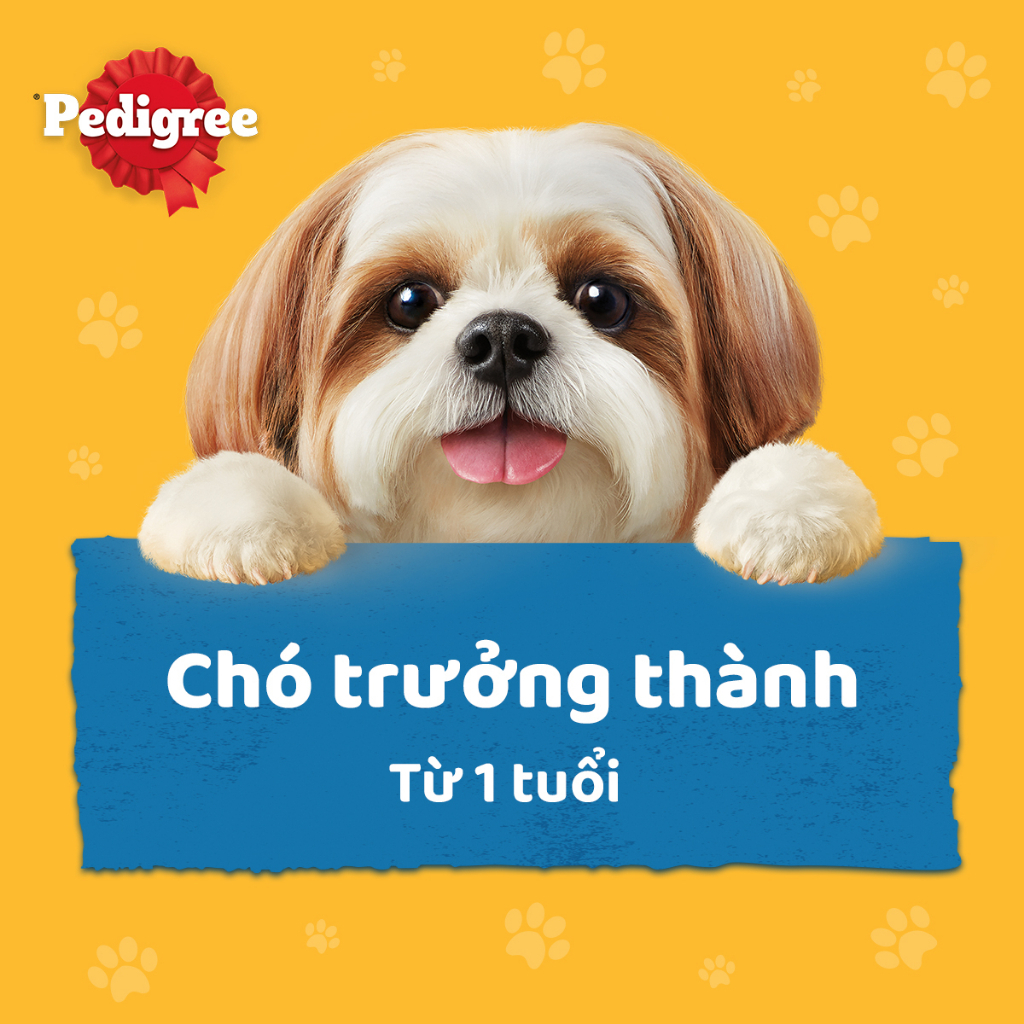 PEDIGREE Bộ thức ăn cho chó lớn dạng sốt mix 5 vị 130g (20 gói)