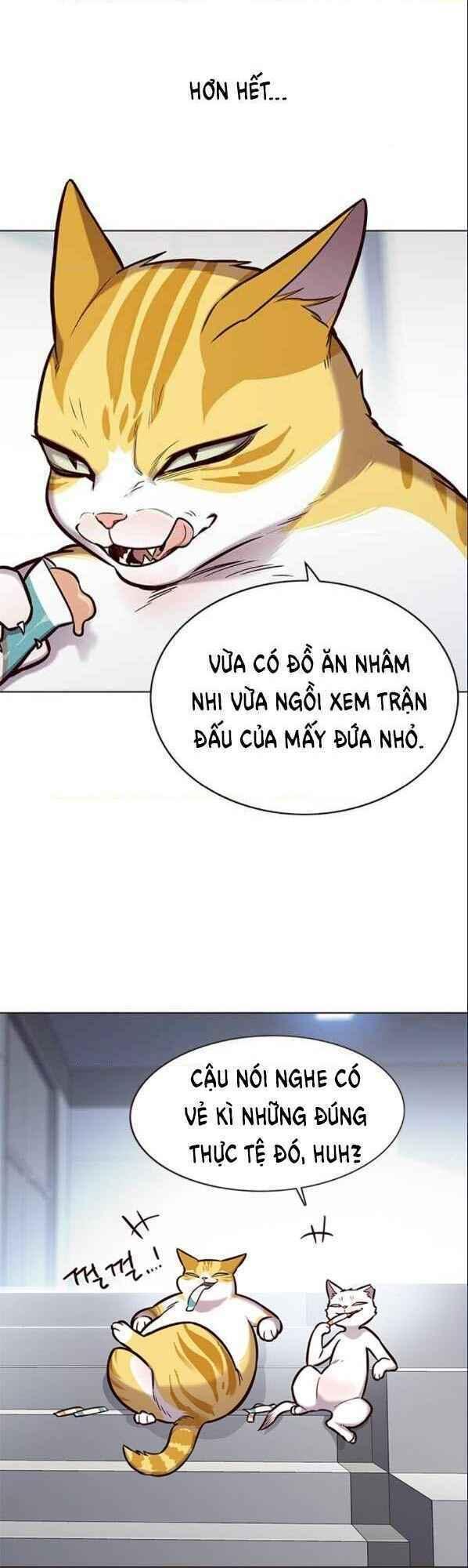 biến thân thành mèo chapter 153 3