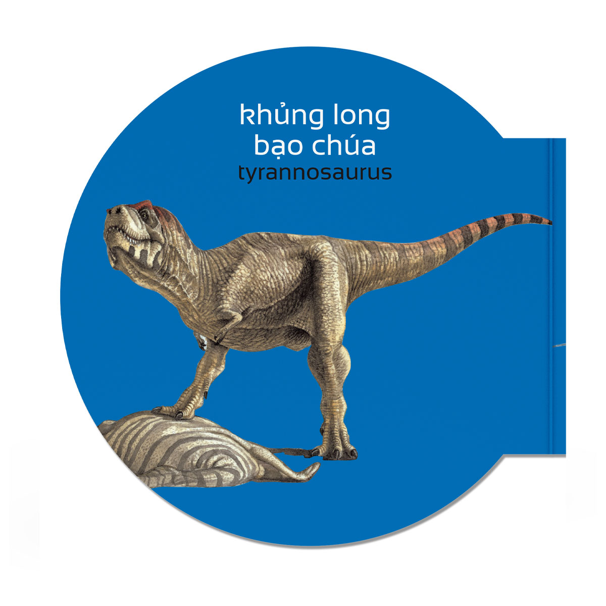 Picture Dictionary - Từ điển bằng hình - Khủng long – Dinosaurs