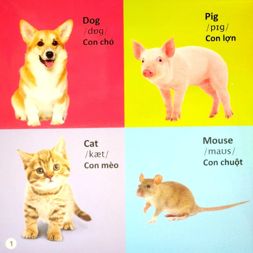 101 Từ Đầu Tiên: Động Vật