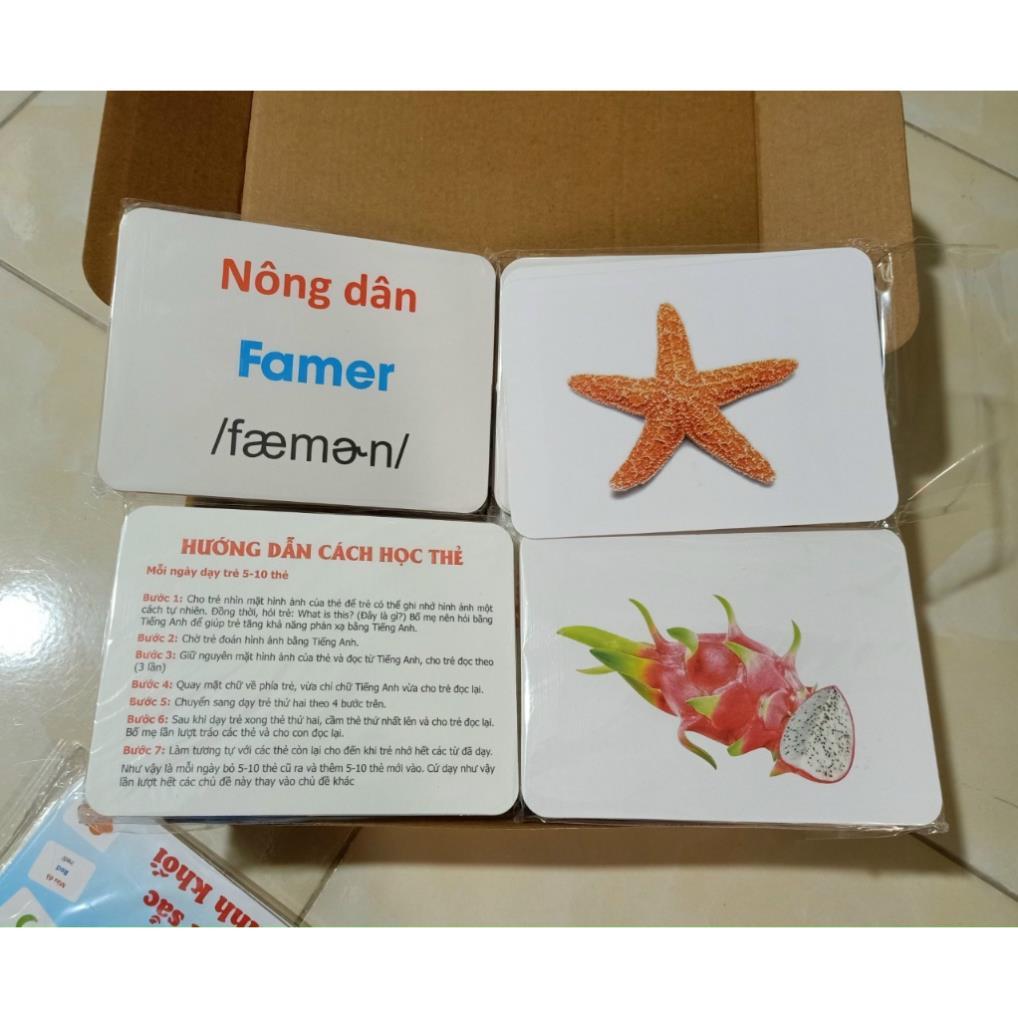 Bộ Thẻ Học Thông Minh 18 Chủ Đề loại to song ngữ tiếng Anh loại chuẩn Glenn Doman Flashcard cho bé từ 0-6 tuổi