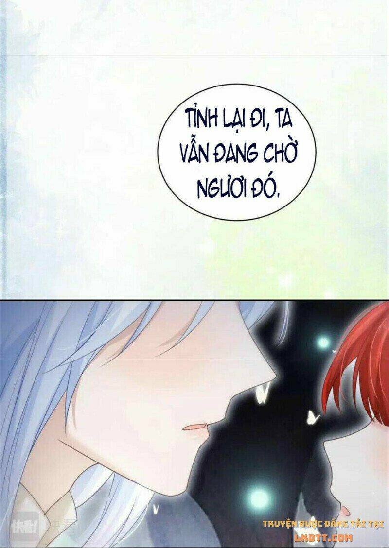 hắc hóa nam chính trực tuyến nuôi thỏ chapter 58 35