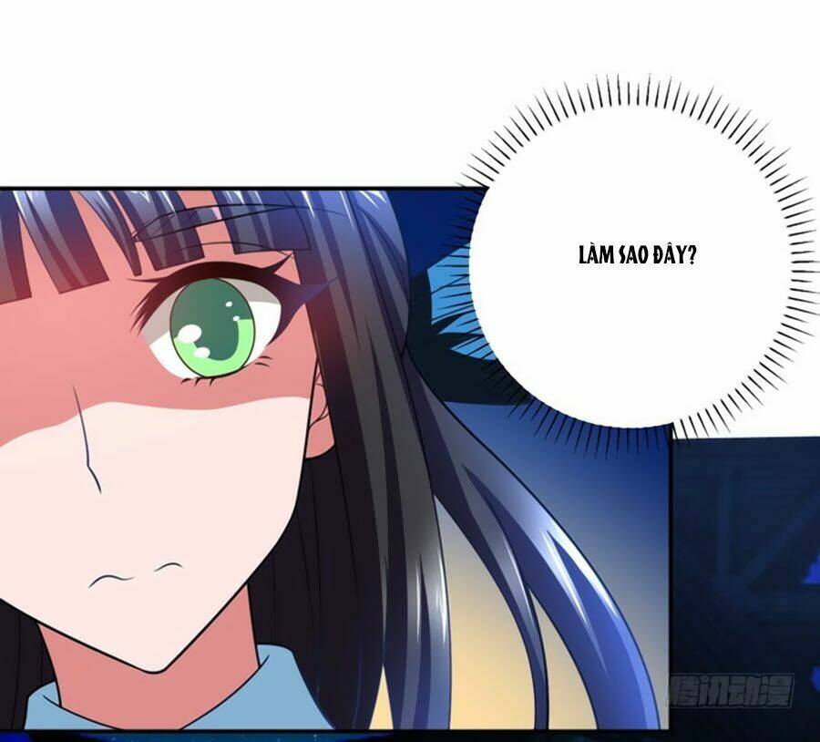 người yêu khát máu của tôi chapter 91 14